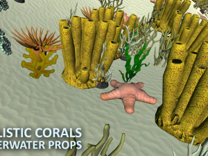 realistic corals - underwater props 3D Model