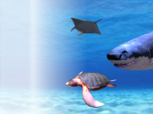 sea creatures 3D Модель