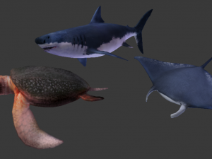 sea creatures 3D Модель
