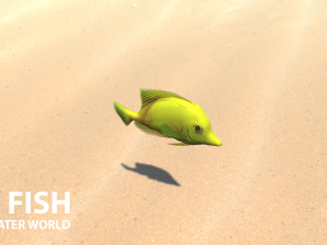 sea fish - underwater world 3Dモデル