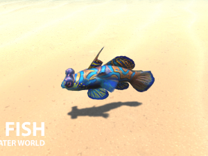 sea fish - underwater world 3Dモデル