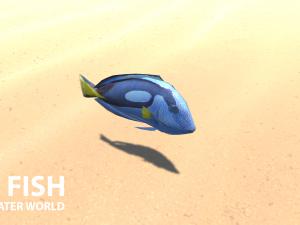 sea fish - underwater world 3Dモデル