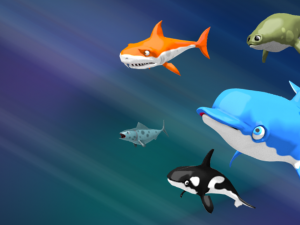 shark dolphin and other sea animals 3D Model