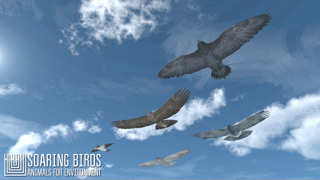 soaring birds - animals for environment 3D 모델 .c4d .max .obj .3ds .fbx .stl .blend 