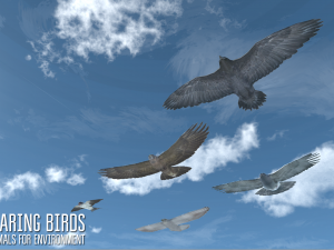 soaring birds - animals for environment 3D Model