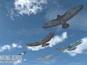 soaring birds - animals for environment Modelo 3D