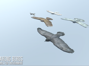 soaring birds - animals for environment 3D 모델