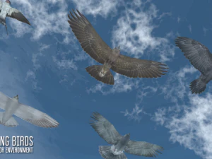soaring birds - animals for environment 3D Model