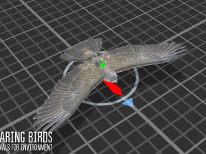 soaring birds - animals for environment 3D 모델