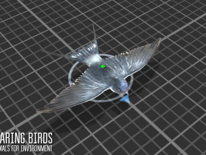 soaring birds - animals for environment 3D Model