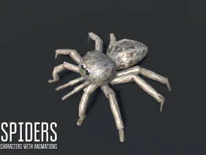 spiders - characters with animations 3D Model