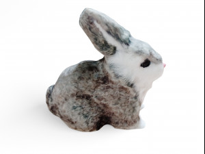 rabbit 3D Model