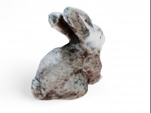 rabbit 3D Model