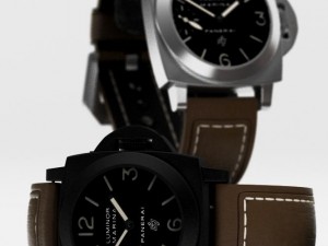 pam 3D 모델
