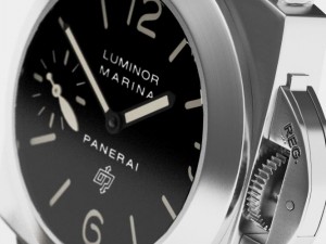 pam 3D 모델