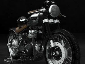 triumph 3D Model