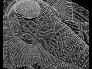Elephant Pendant Modello di stampa 3D