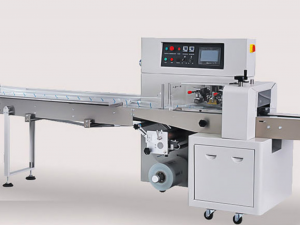 pillow mask packing machine 3D Model