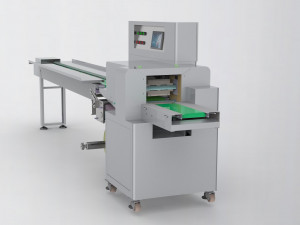 pillow mask packing machine Model 3D