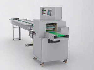 pillow mask packing machine 3D Model