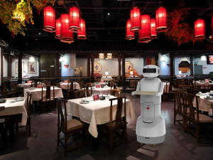 server robot 3D Model
