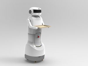 server robot 3D Model
