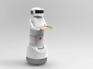 server robot 3D Model