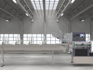 automatic card issuing and packing machine 3D Model