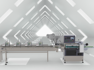 automatic card issuing and packing machine 3D Модель