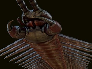 centipede 3D Model