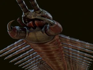 centop&eacute;ia Modelo 3D