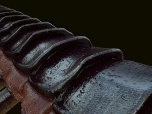 centopiedi Modello 3D