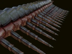 centopiedi Modello 3D