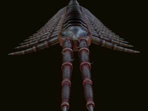 centipede 3D Model