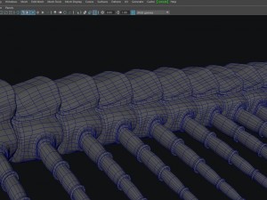 centipede 3D Model