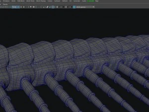 centopiedi Modello 3D