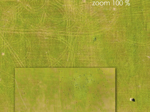 Aerial texture 69 3D Model