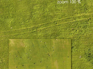 공중 텍스처 70 CG 텍스쳐