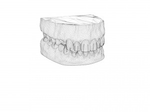 pirate denture 3D Model