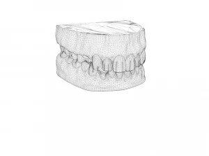 pirate denture 3D Model