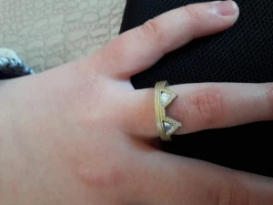 bague oreille de chat 3D Print Model