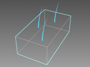 skin epidermis layers 3D 모델