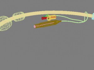 nasogastric feeding tube 3D Model