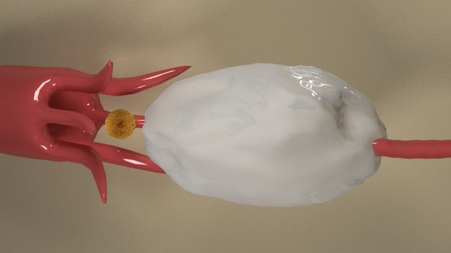 female ovary 3D 모델 .c4d .max .obj .3ds .fbx .stl .blend 
