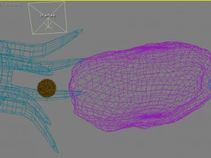female ovary 3D Model