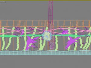 皮膚層の断面図 3Dモデル