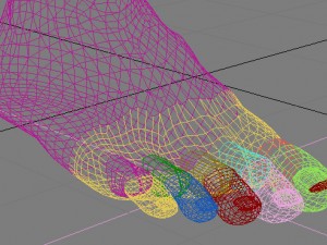 onchomycosis nail fungus Modelo 3D