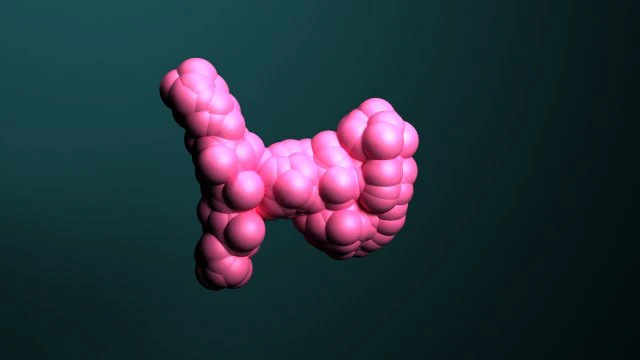 protein molecules 3D Model .c4d .max .obj .3ds .fbx .stl .blend 