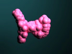 mol&eacute;culas de prote&iacute;na Modelo 3D