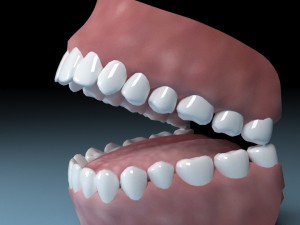 teeth tongue mouth 3D Model
